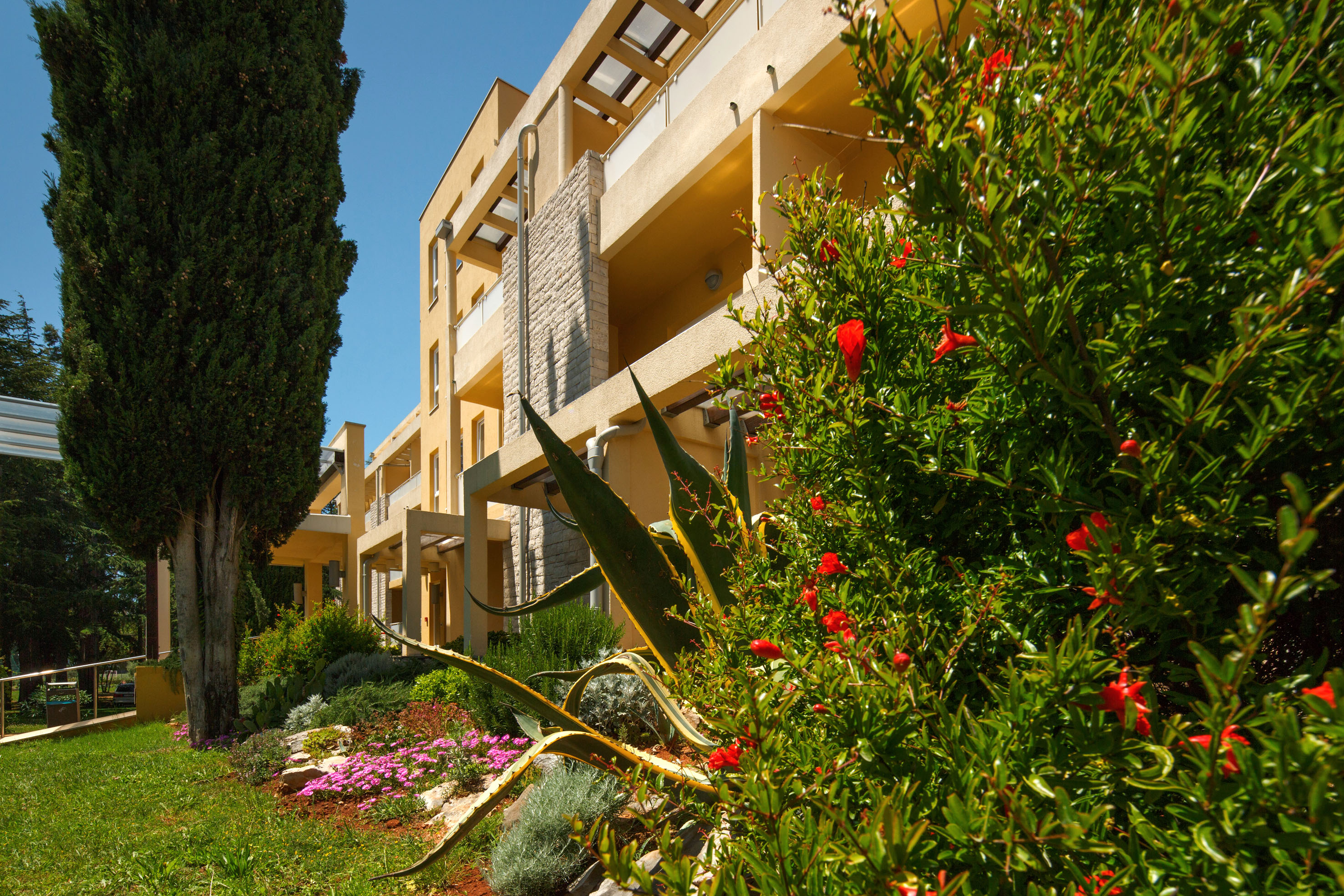 a building with plants and flowers