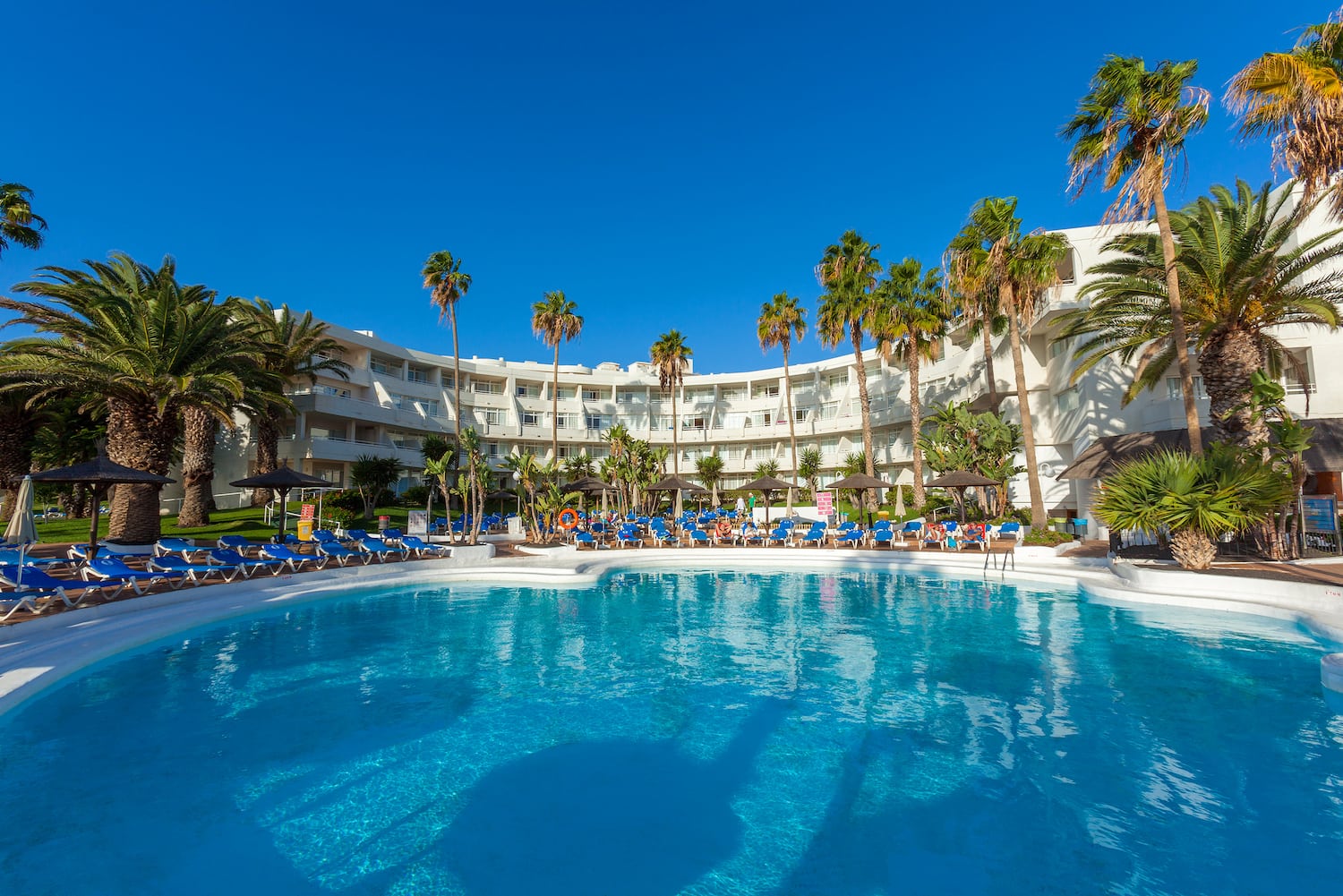 a pool with palm trees and a building with blue sky