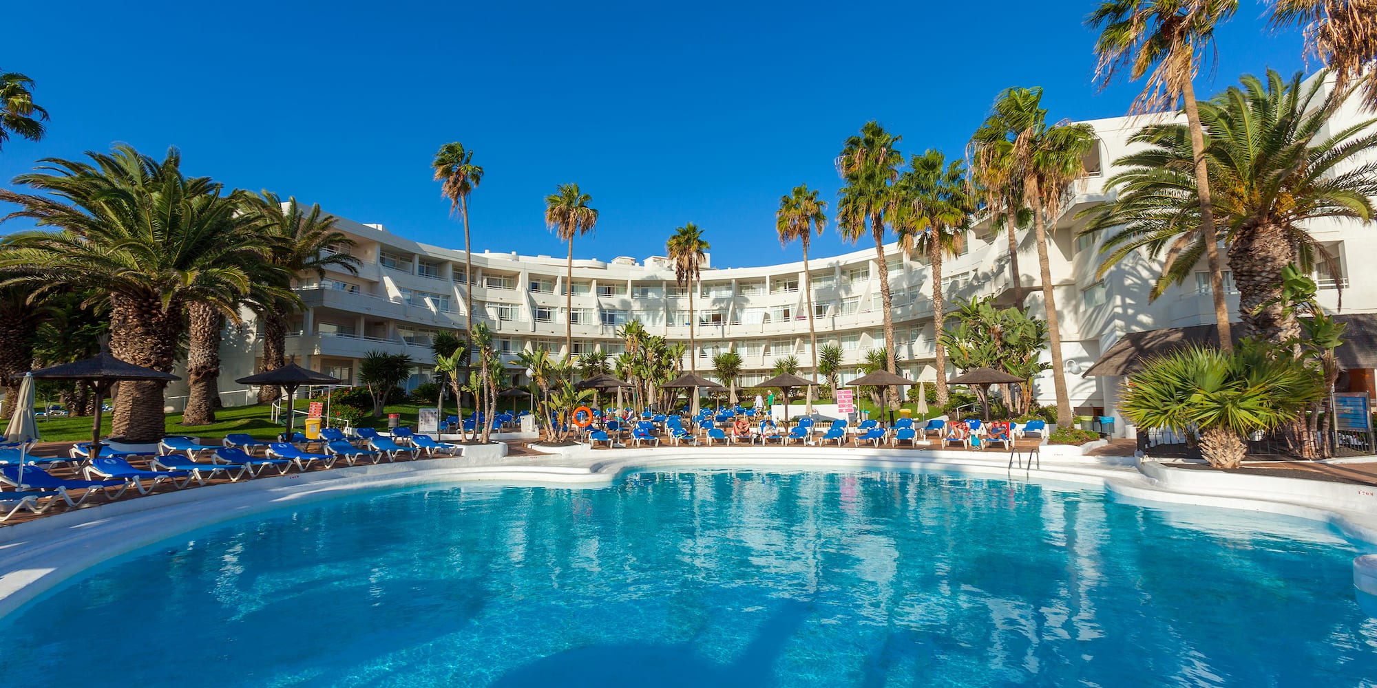 a pool with palm trees and a building with blue sky
