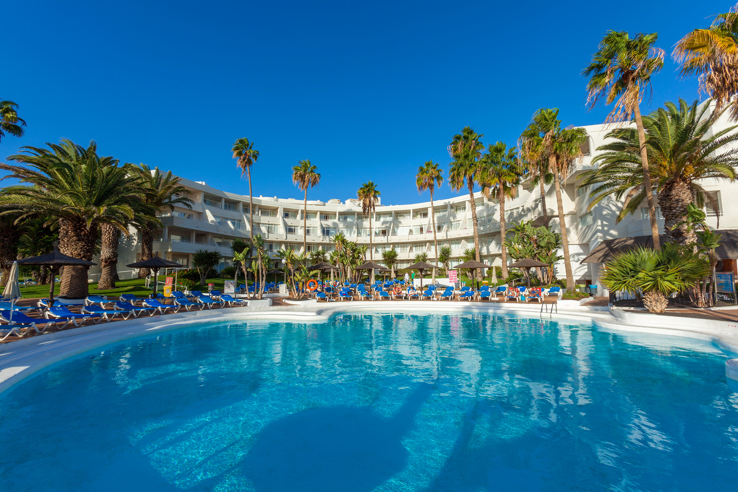 a pool with palm trees and a building with blue sky