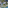 Tropical resort aerial: villas, winding blue pools, palm trees, elevated paths.