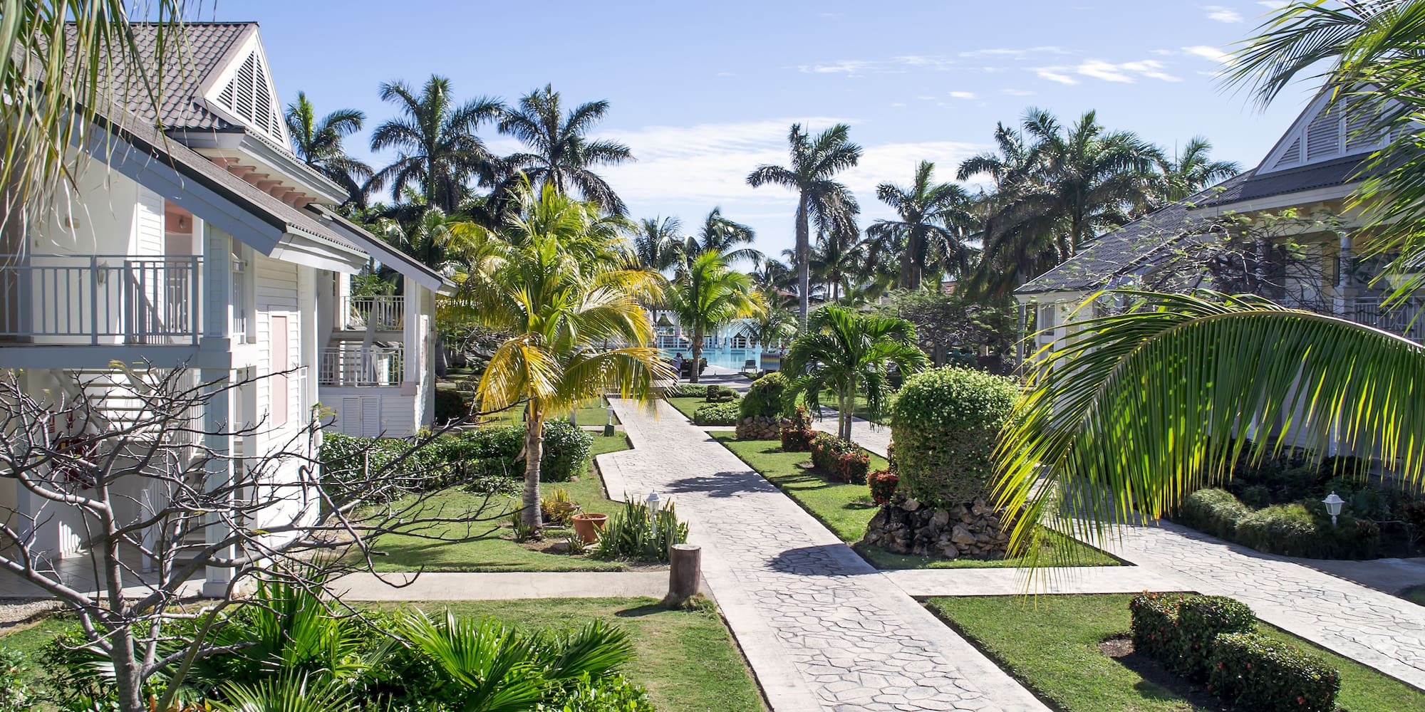 a walkway with palm trees and houses
