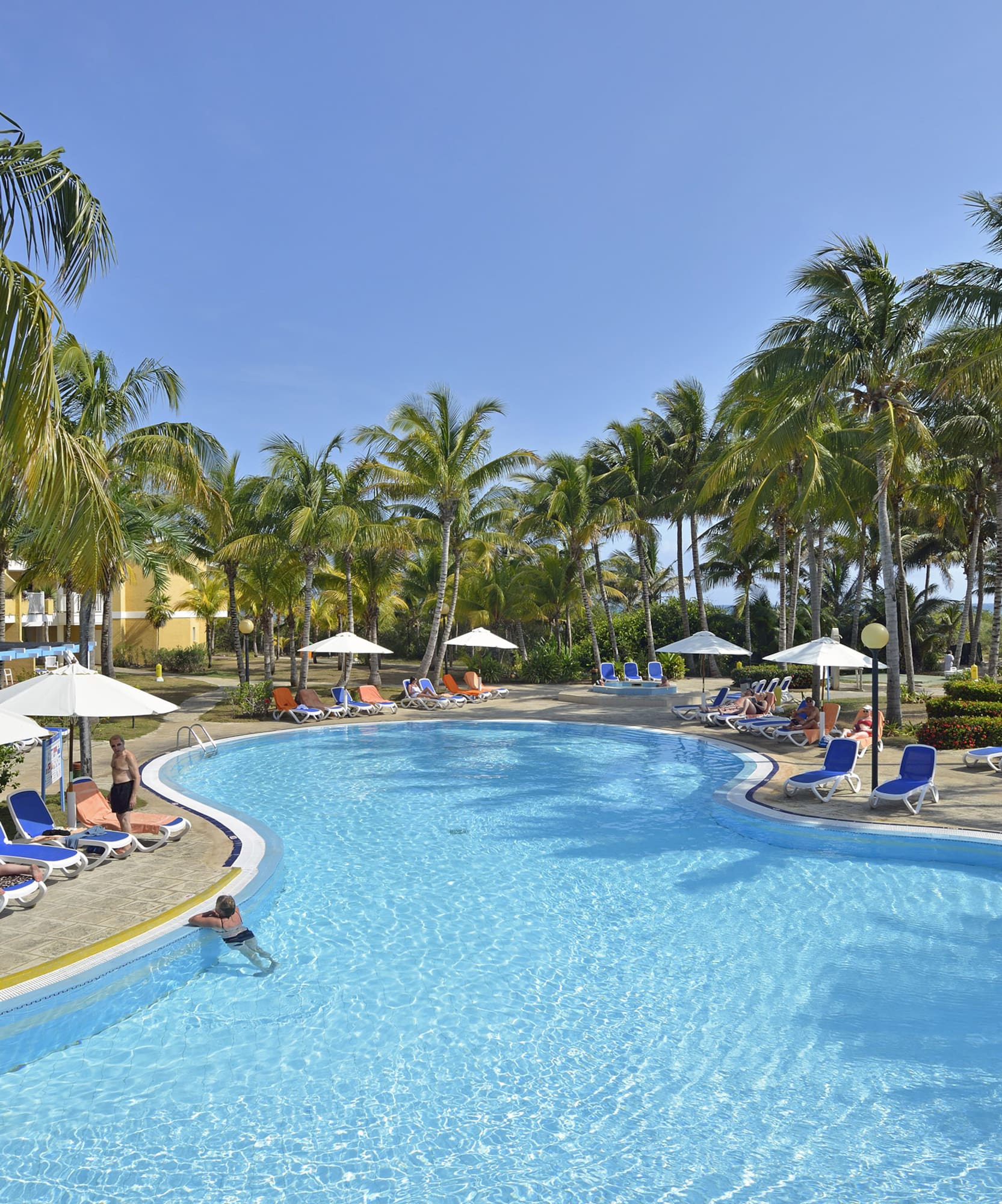 a pool with palm trees and people in it