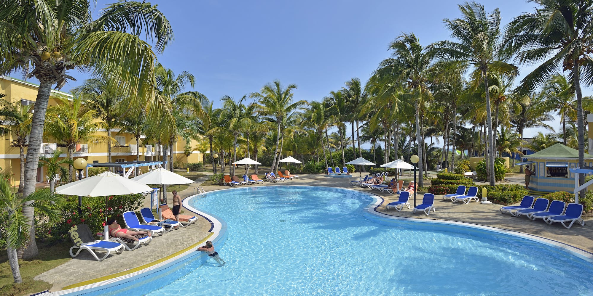 a pool with palm trees and people in it