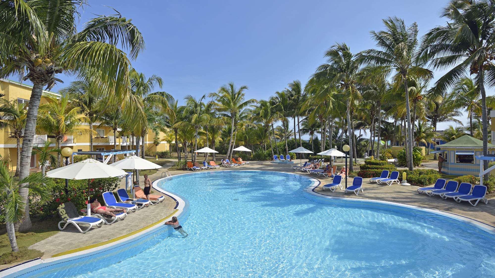 a pool with palm trees and people in it