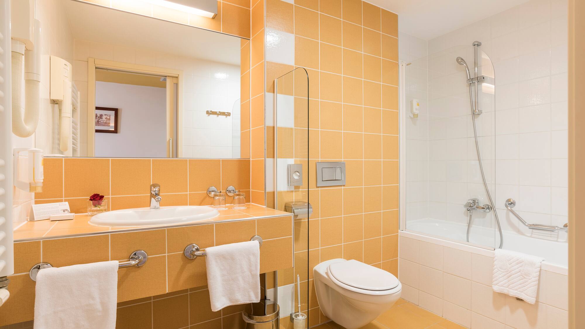 a bathroom with a sink and toilet