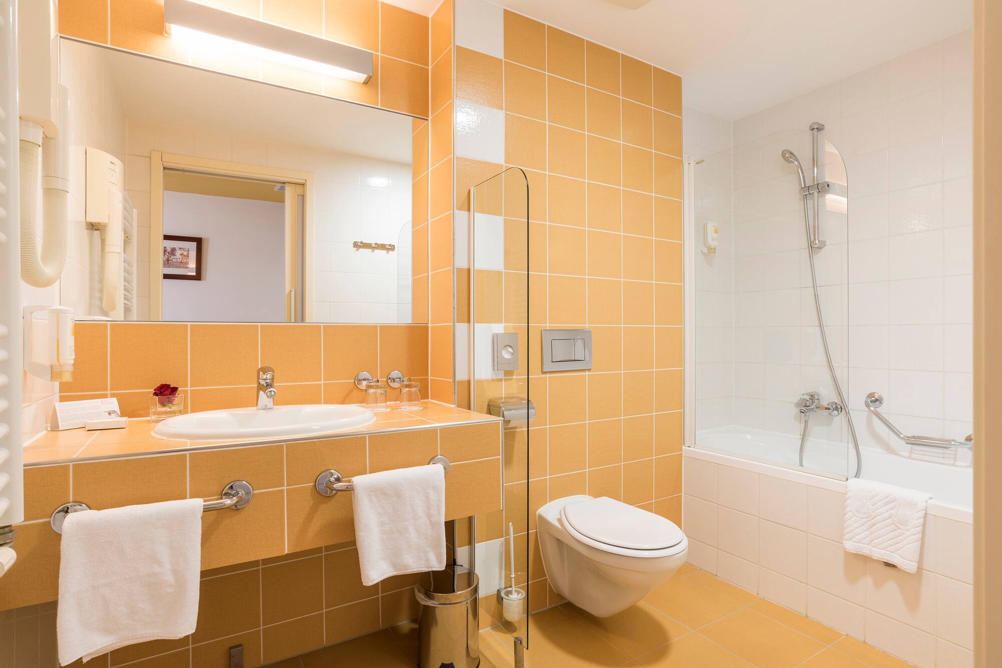 a bathroom with a sink and toilet