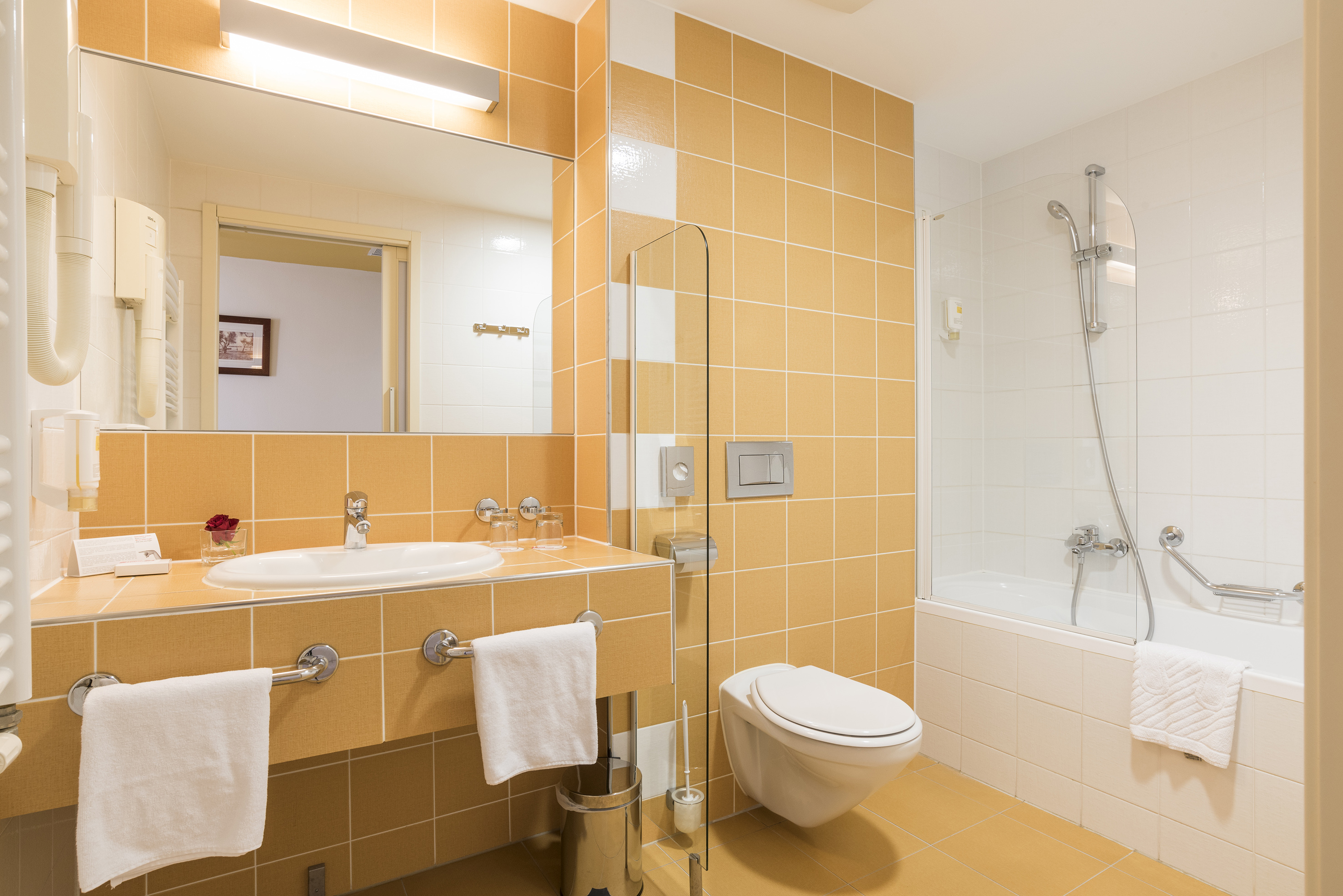 a bathroom with a sink and toilet