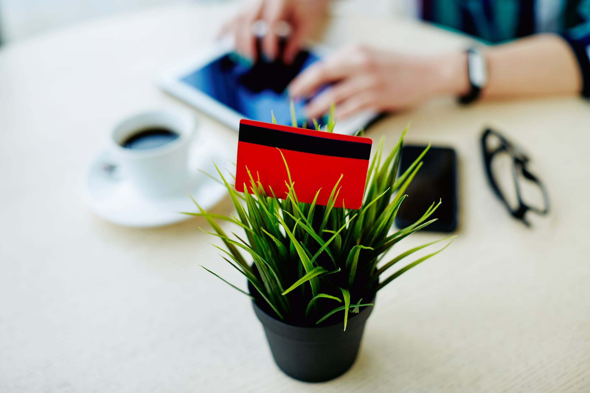a plant with a card in it