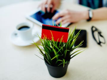 a plant with a card in it