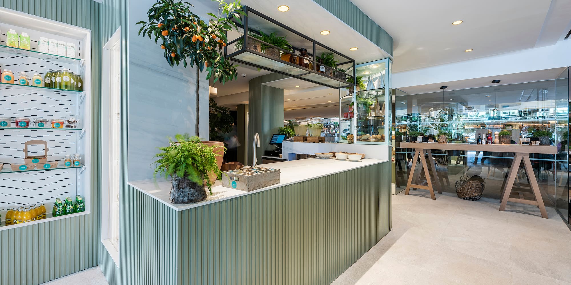 a room with a counter and plants