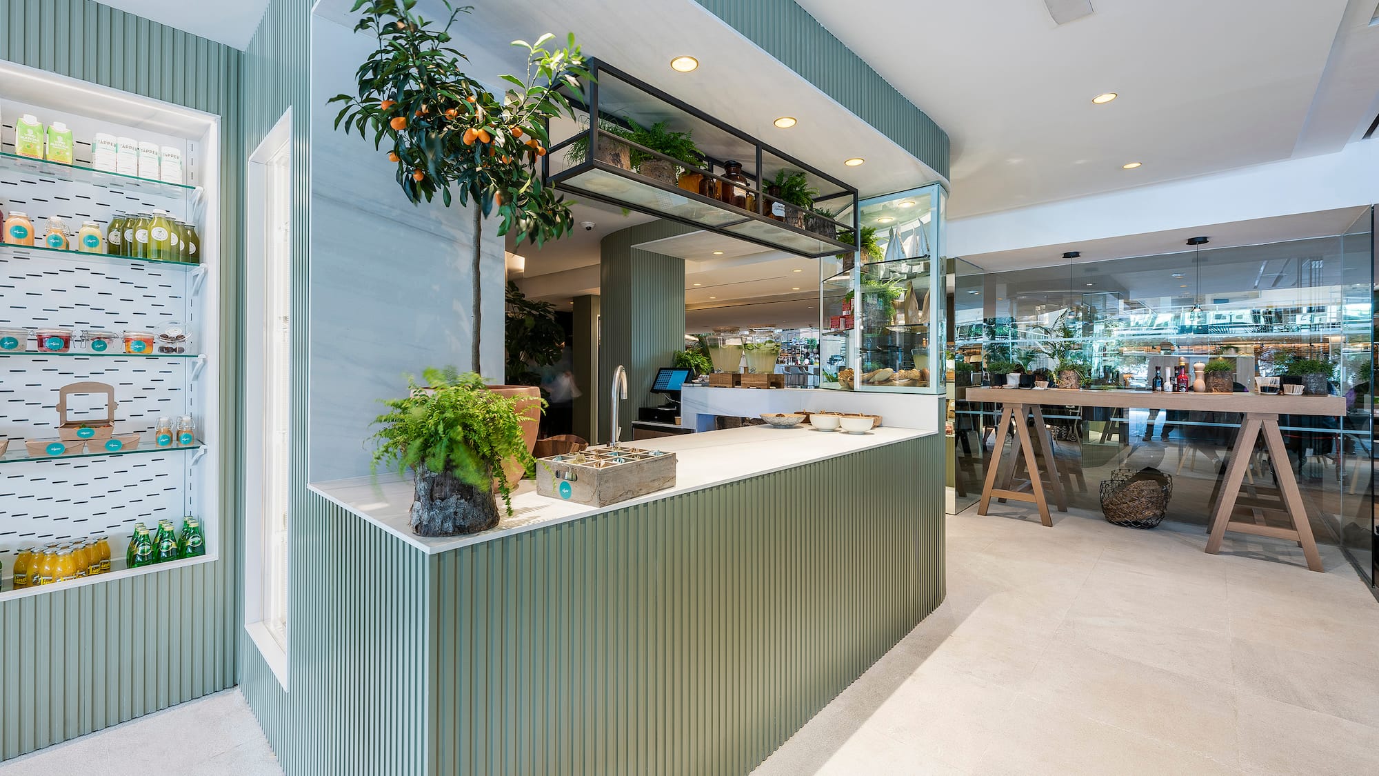 a room with a counter and plants