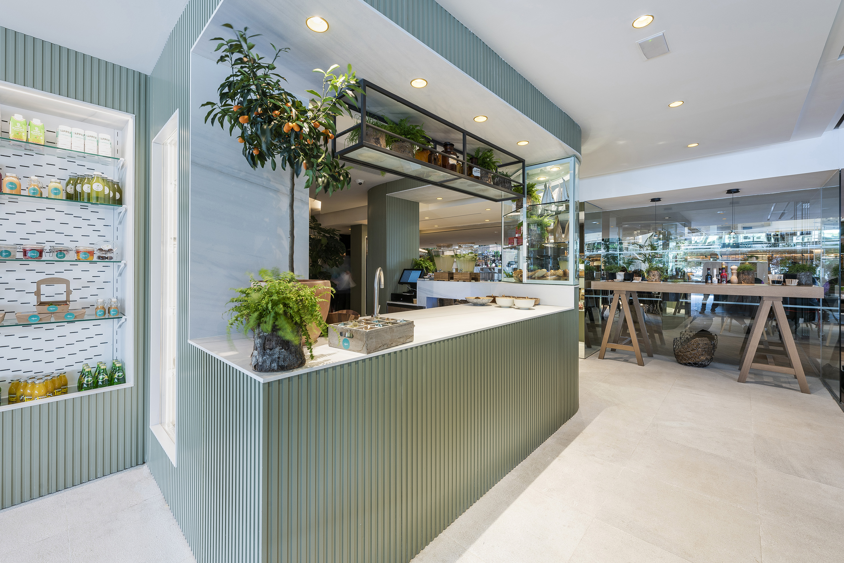 Modern sage green cafe interior with plants, products, and fluted counter.