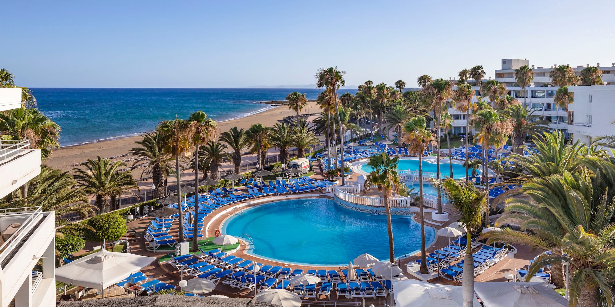 a pool with palm trees and a beach