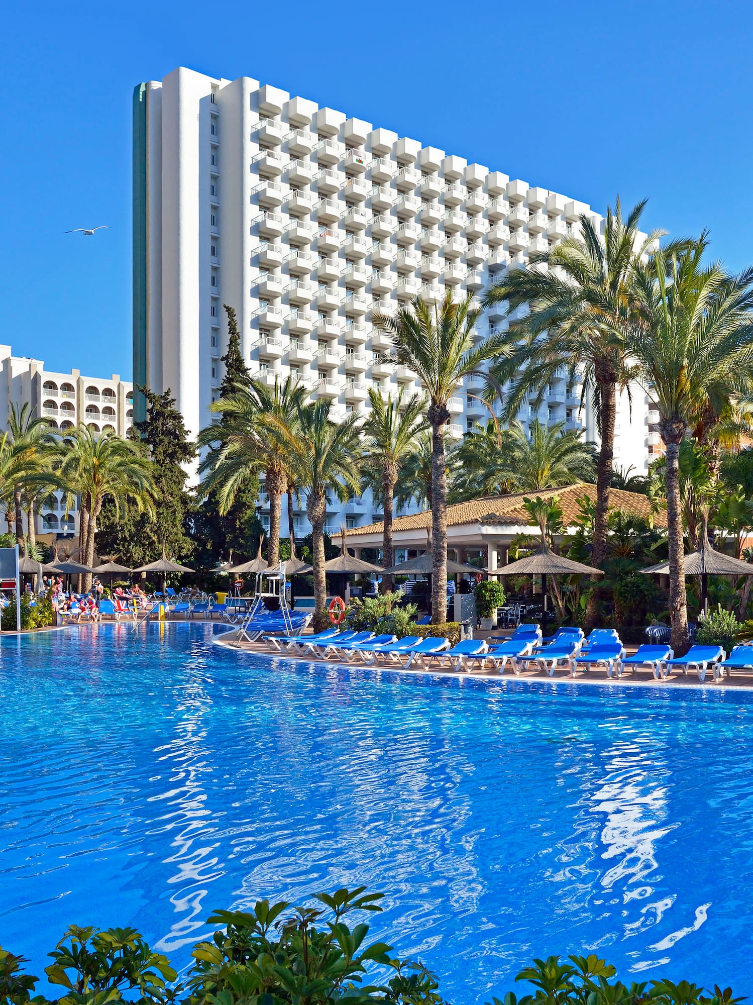 a pool with palm trees and a building in the background