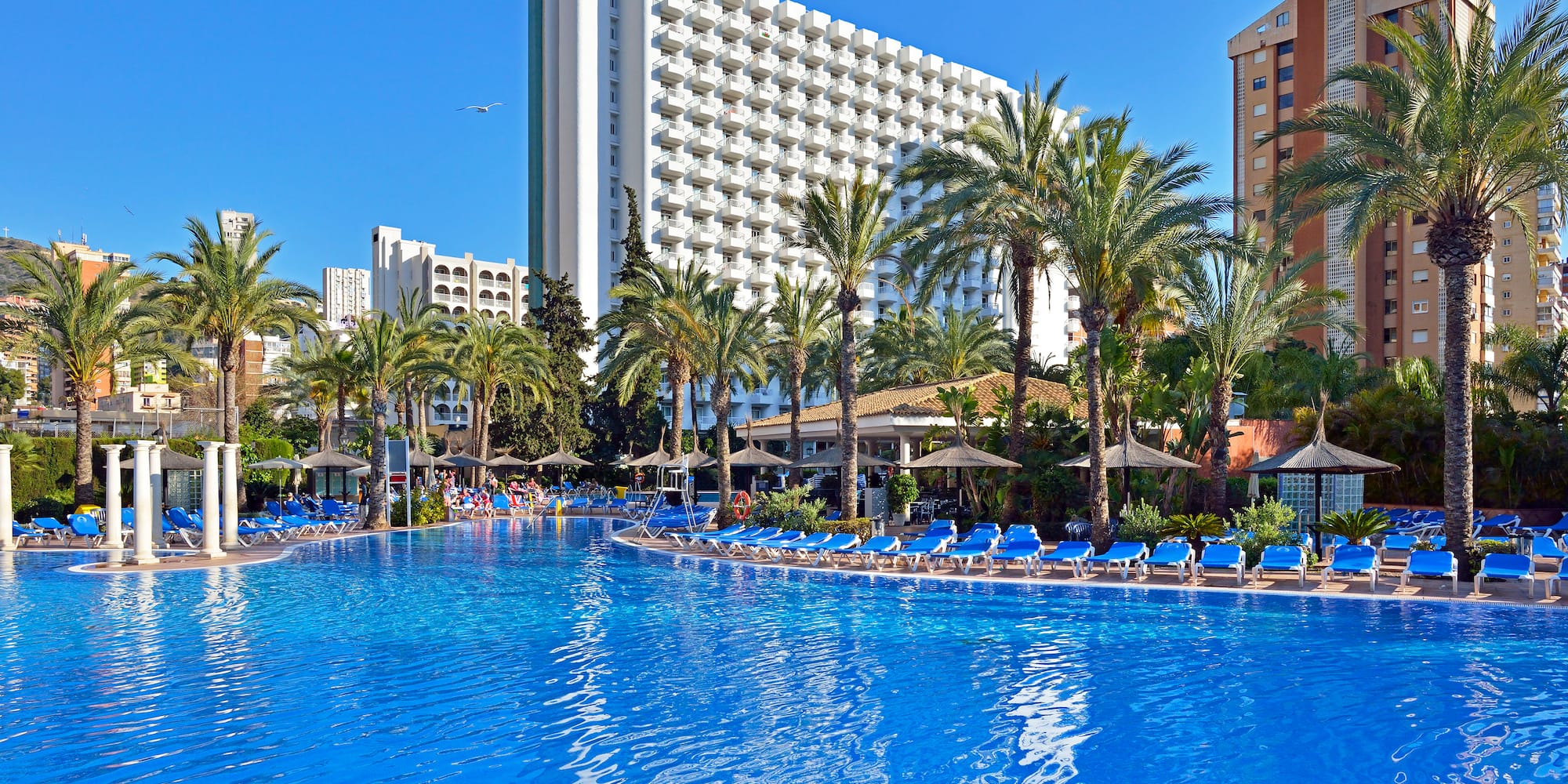 a pool with palm trees and a building in the background