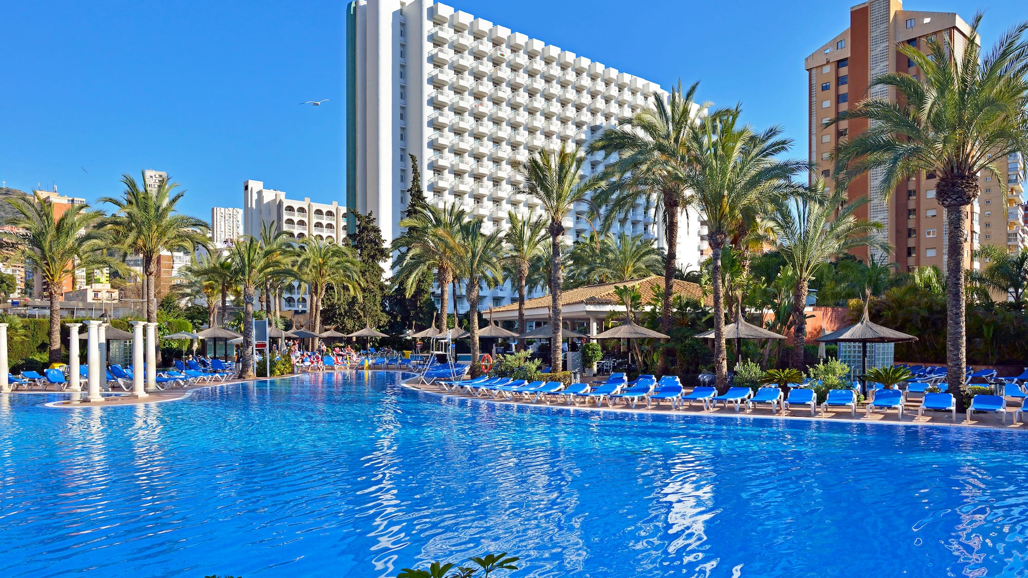 a pool with palm trees and a building in the background