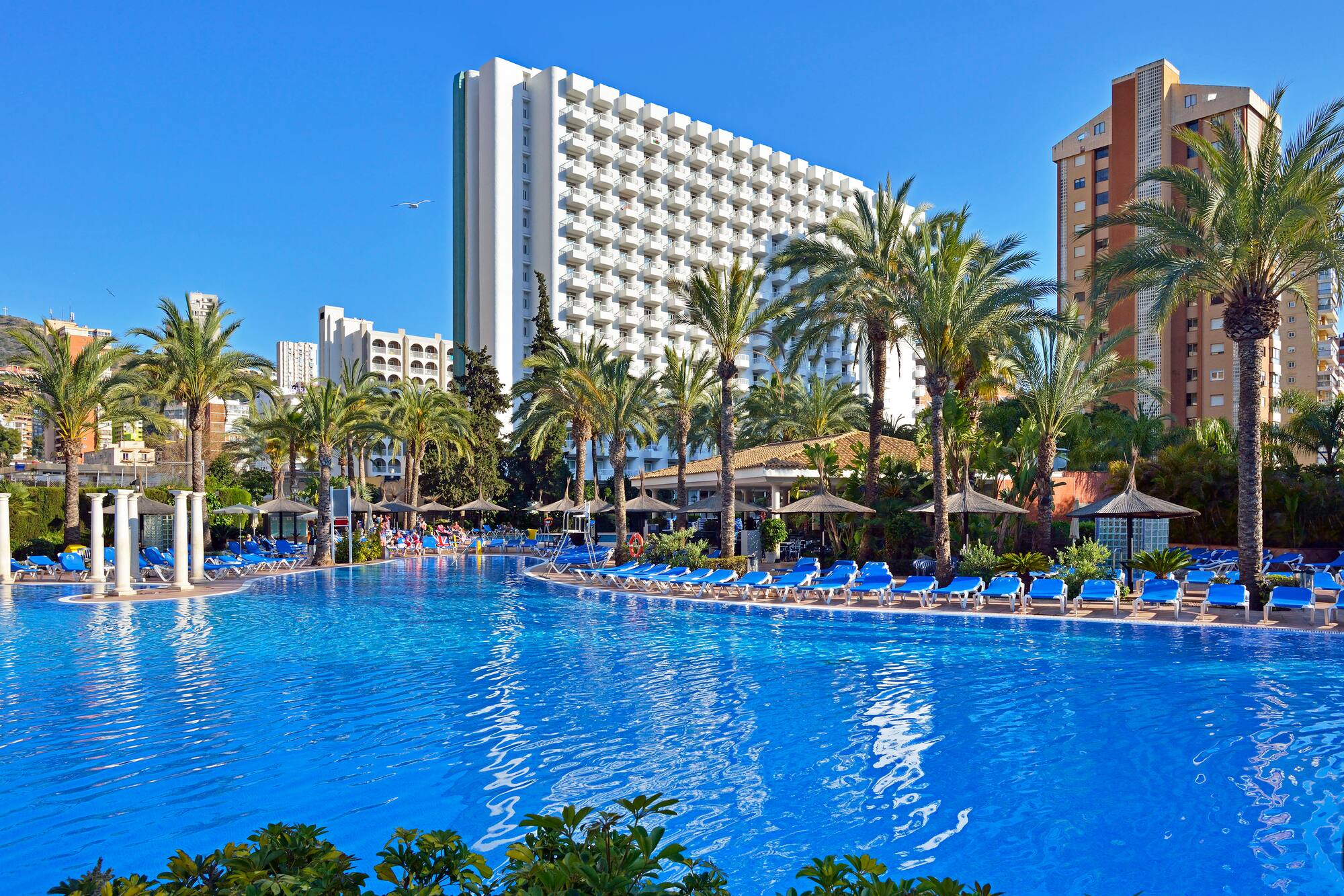 a pool with palm trees and a building in the background