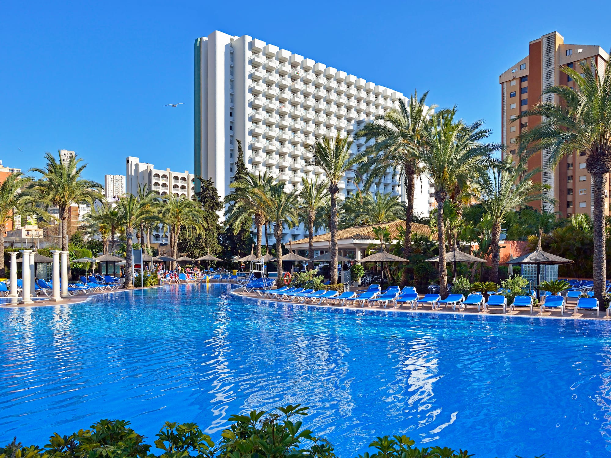 a pool with palm trees and a building in the background