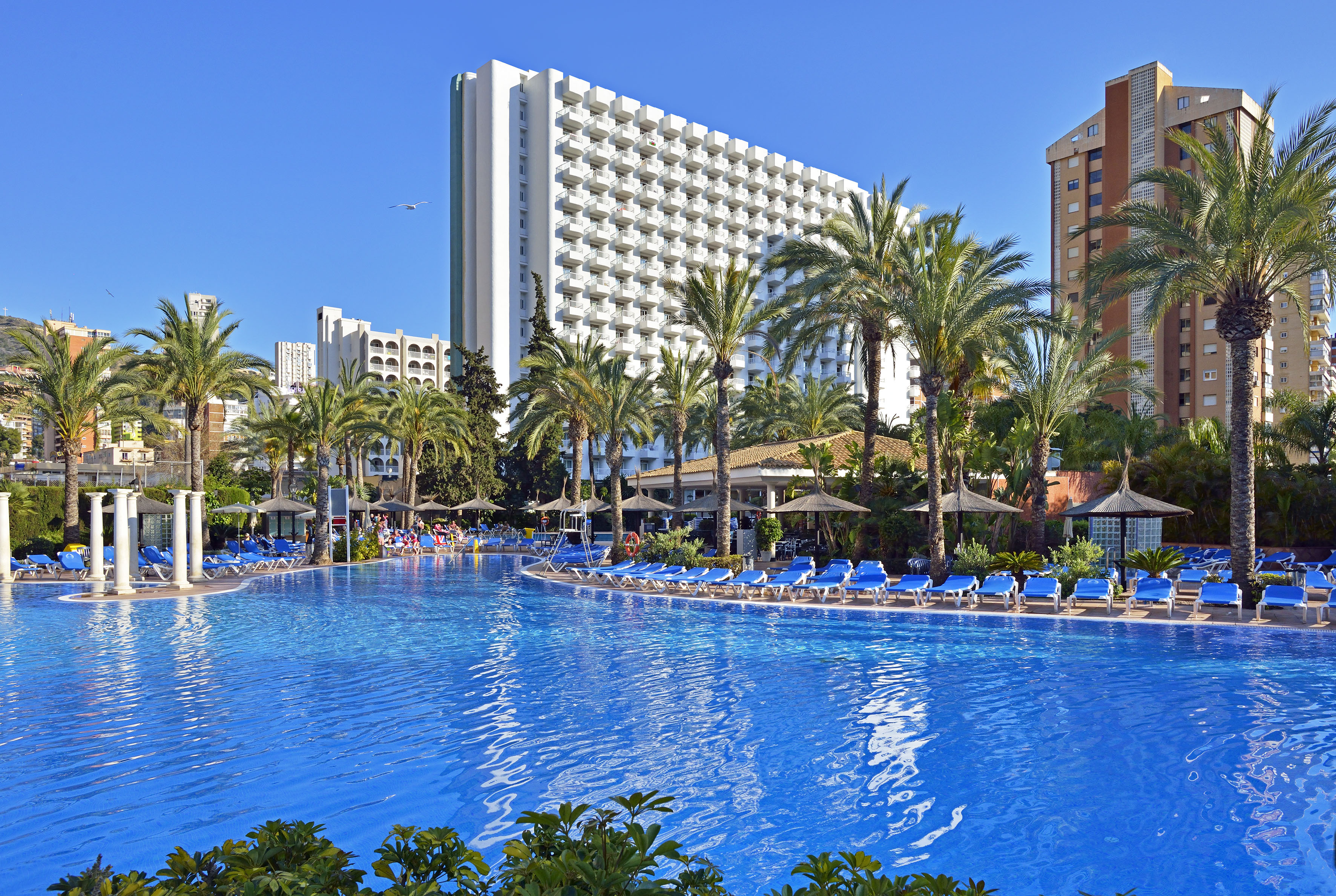 Sunny hotel pool area with palm trees, blue lounge chairs, and tall resort building.