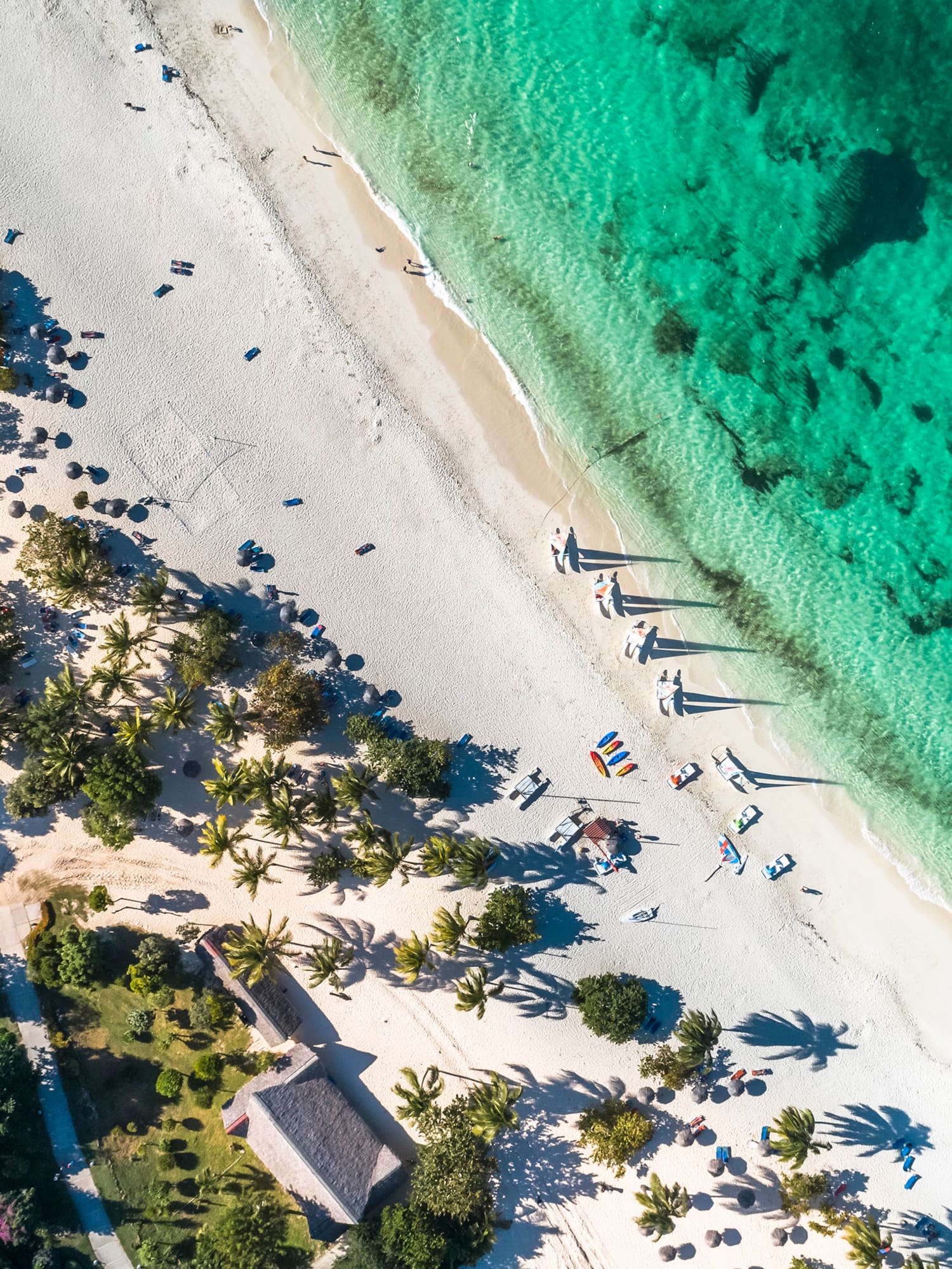 a beach with trees and a body of water