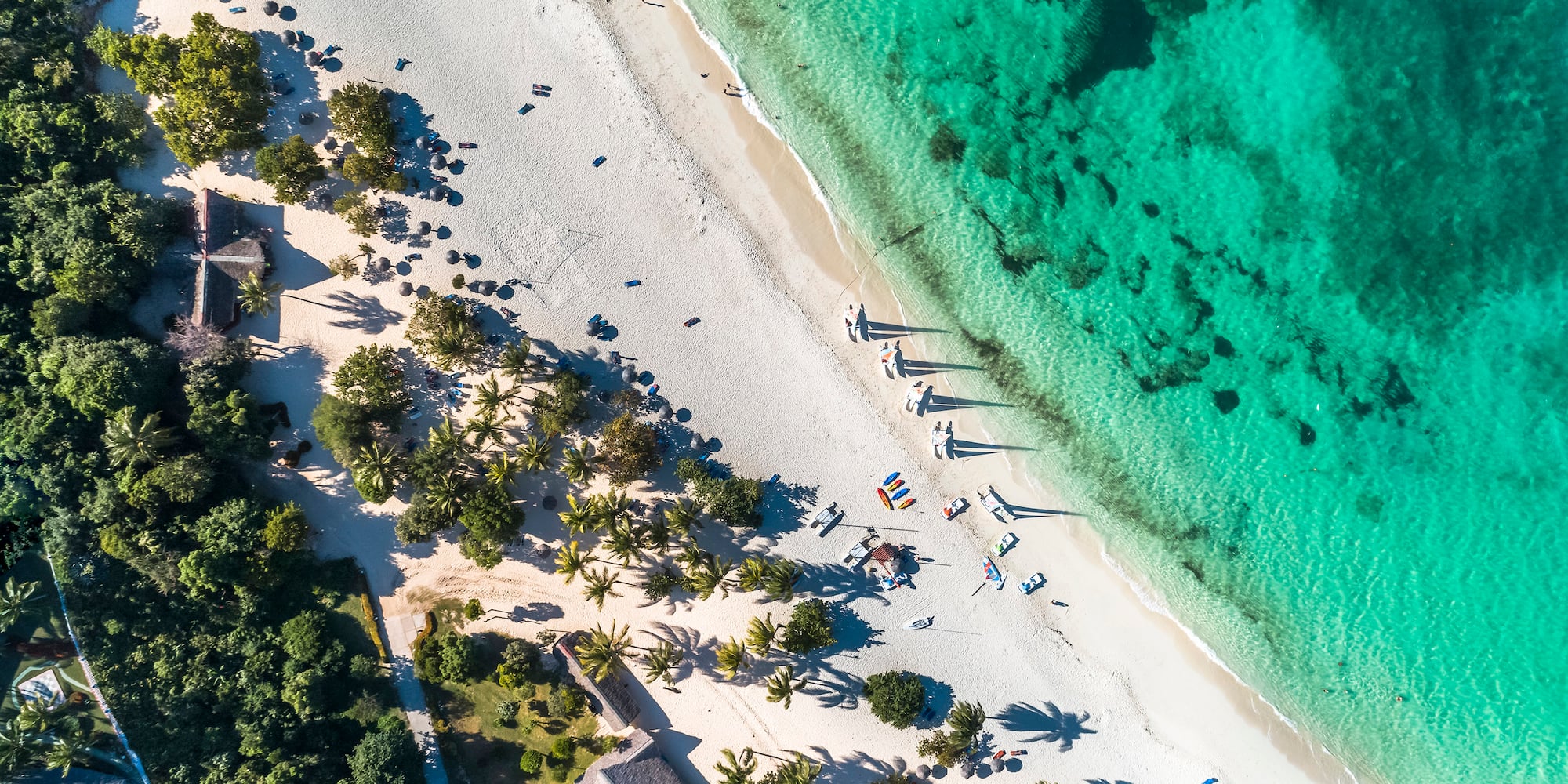 a beach with trees and a body of water