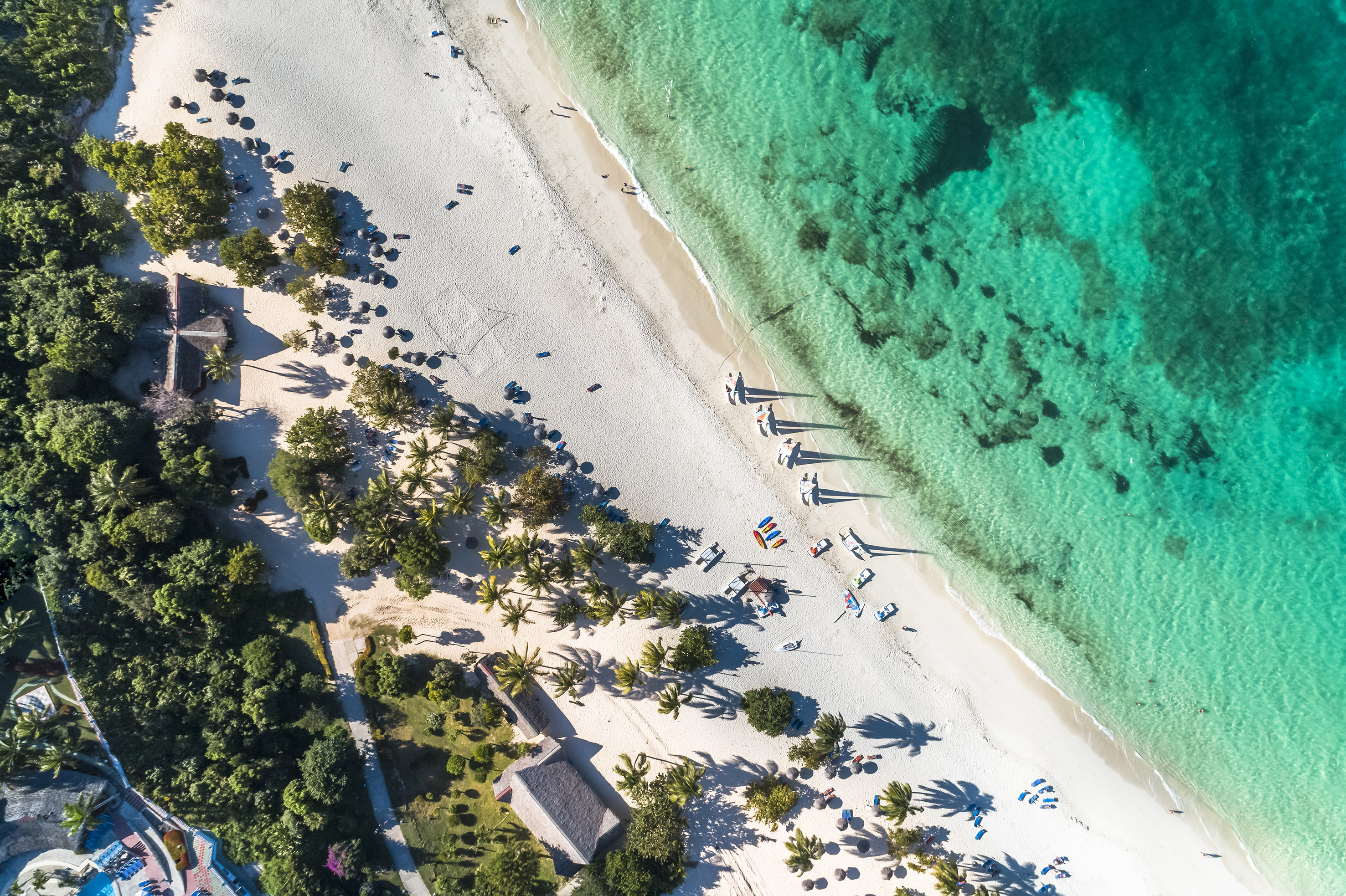 a beach with trees and a body of water