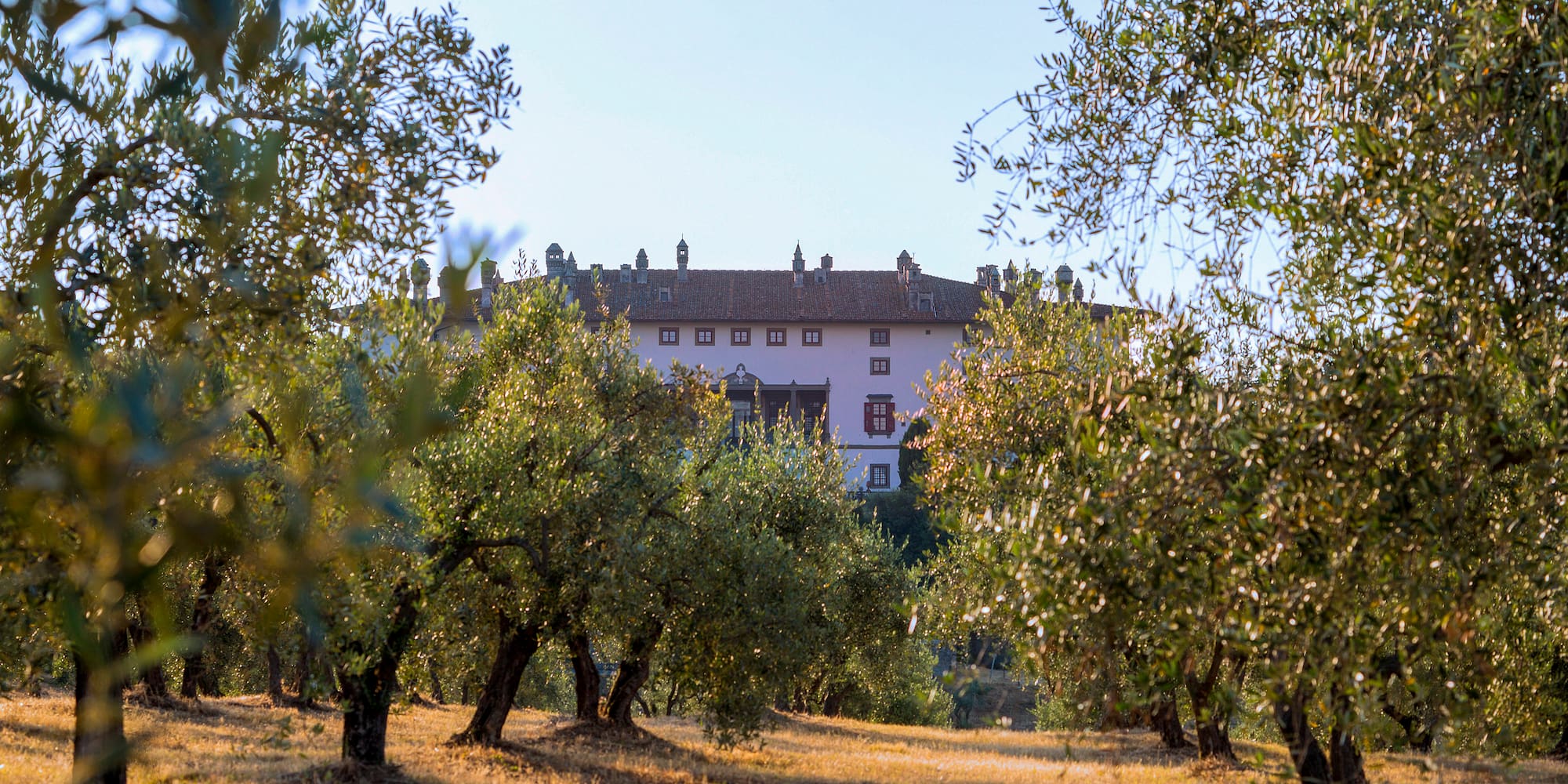 a house in the background