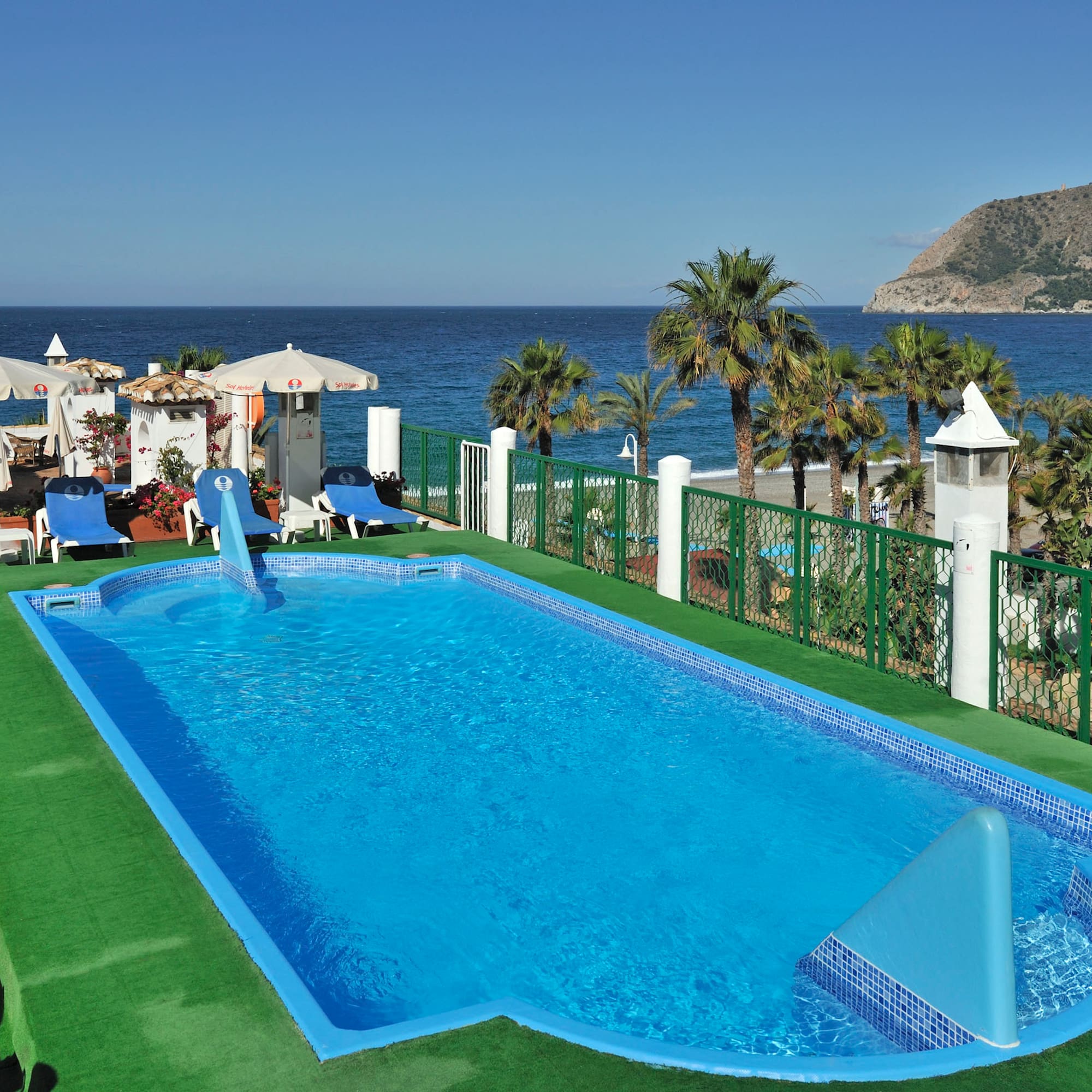 Beachfront hotel pool with blue sunbeds, palm trees, and ocean view.