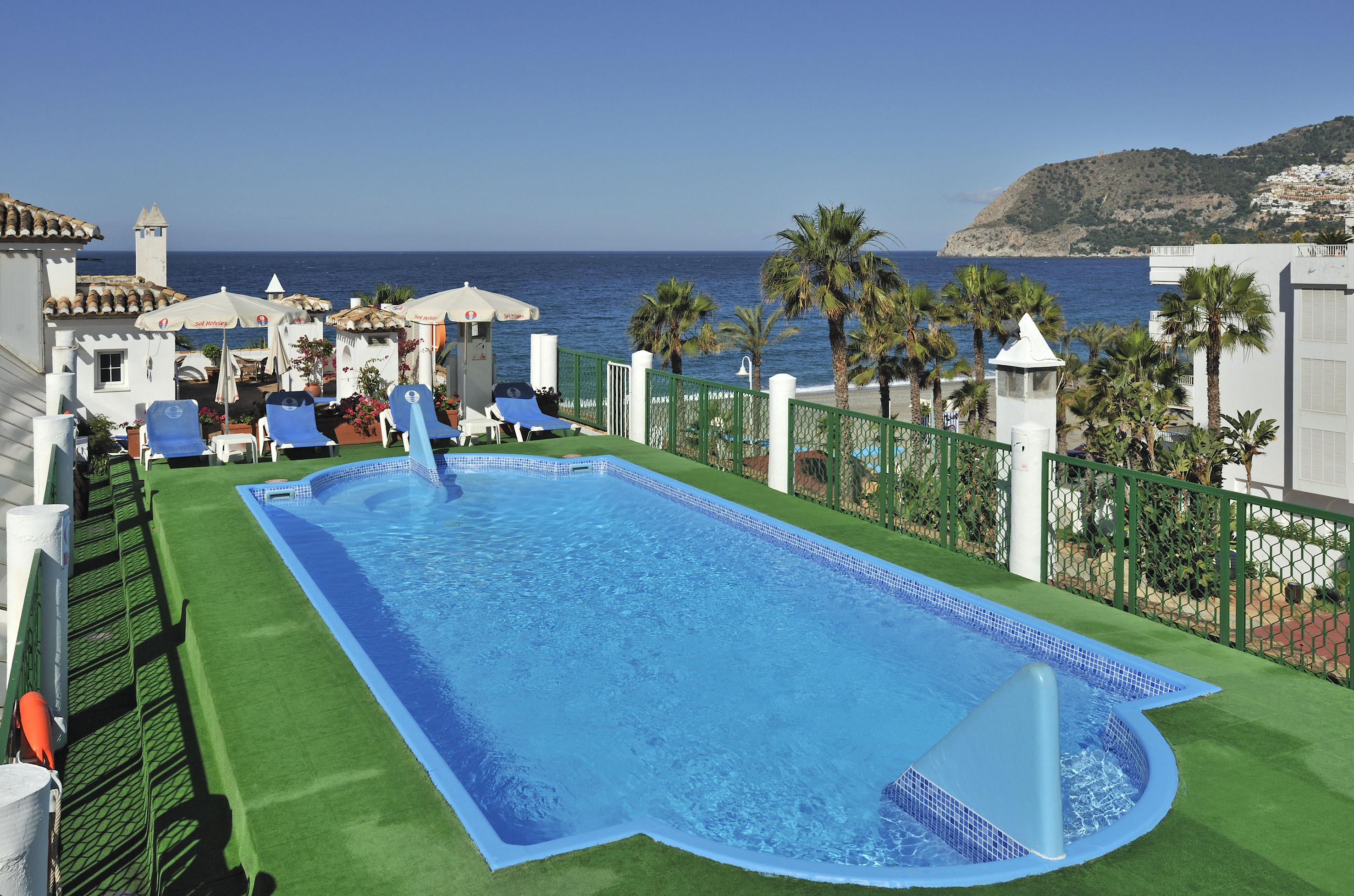 Beachfront hotel pool, ocean, palm trees, and sun loungers.