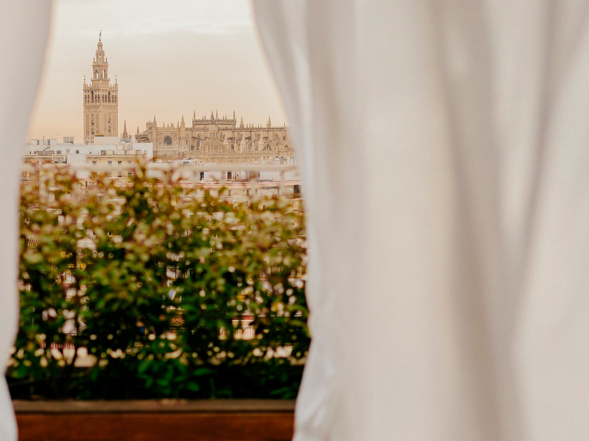 a window with a city skyline seen through a curtain