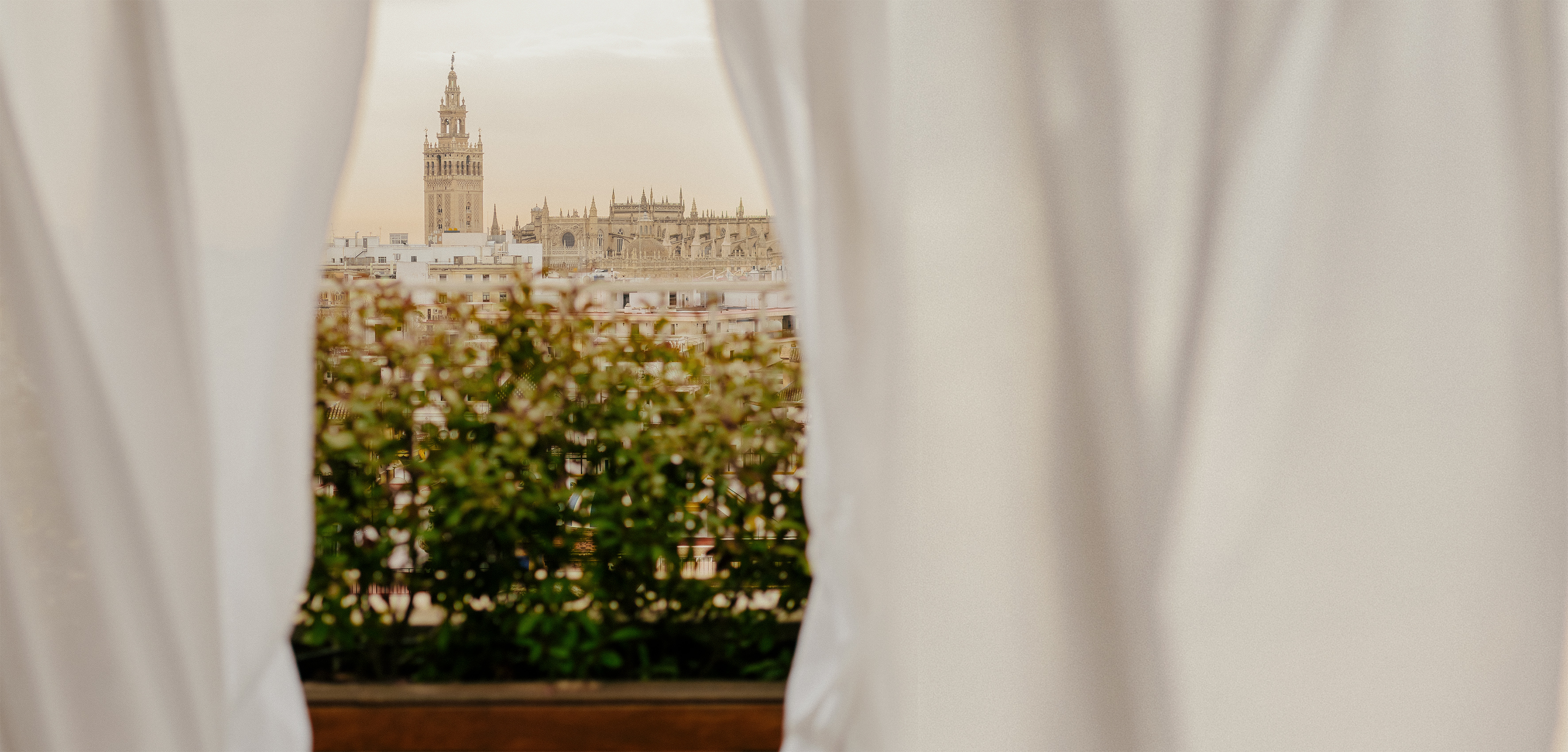 Seville cityscape with Giralda tower and Cathedral, framed by white curtains.