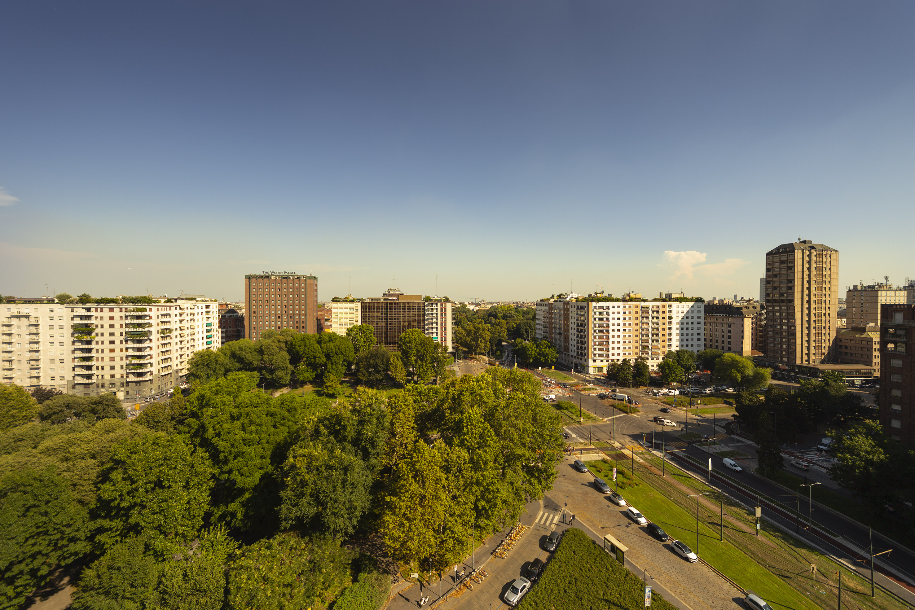 a city with trees and buildings