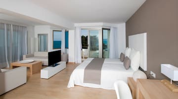 a bedroom with a television and a large bed