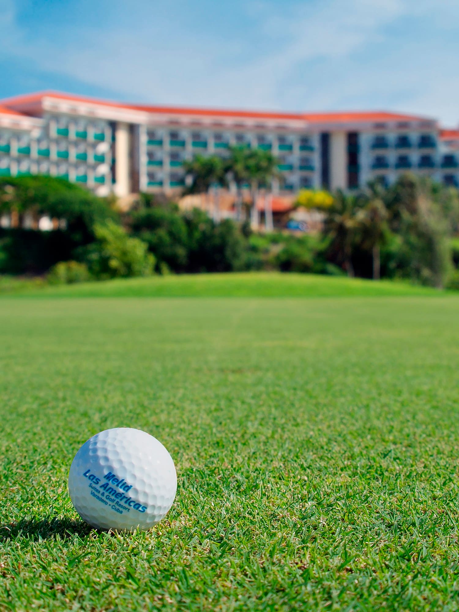 a golf ball on the grass