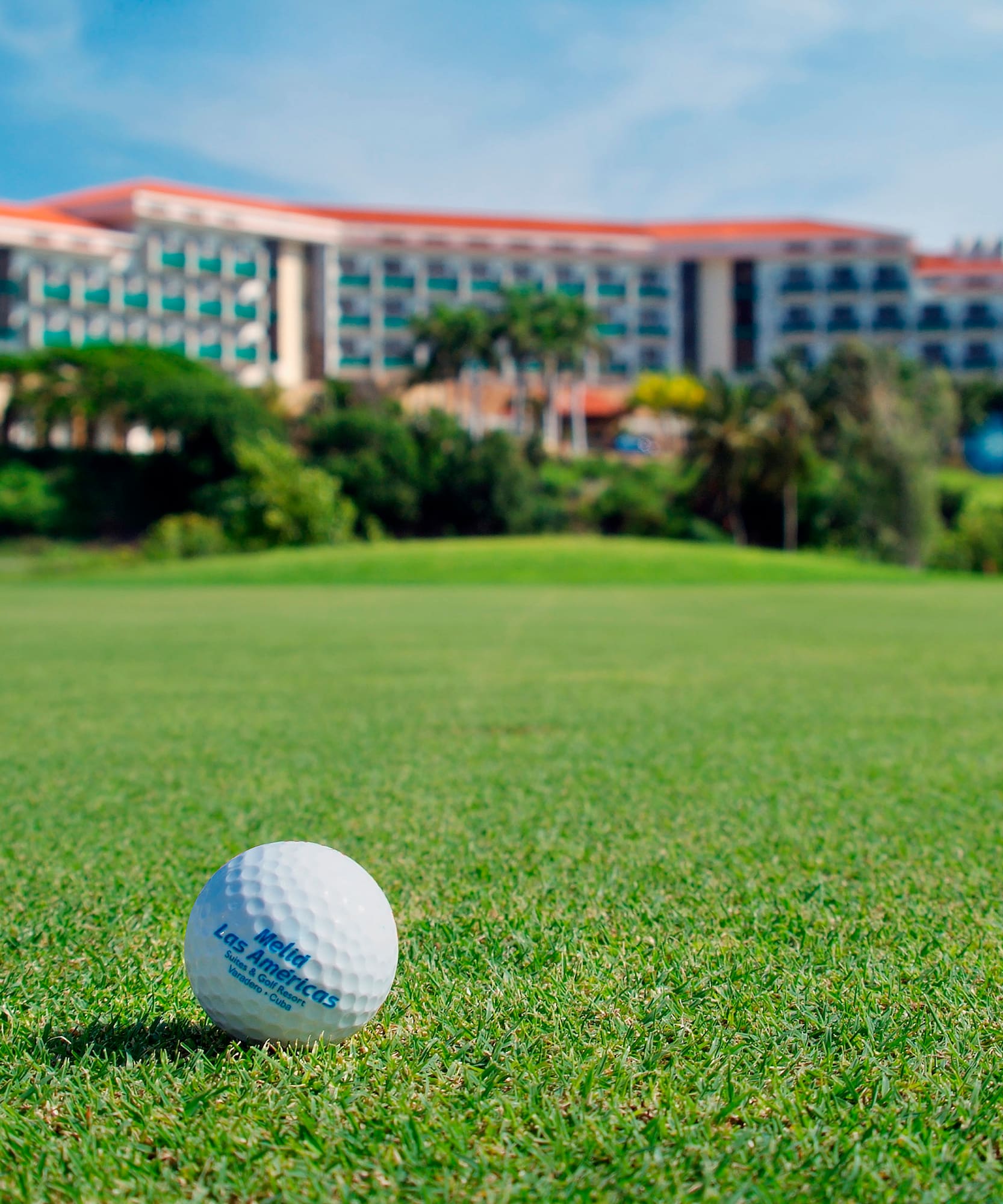 a golf ball on the grass