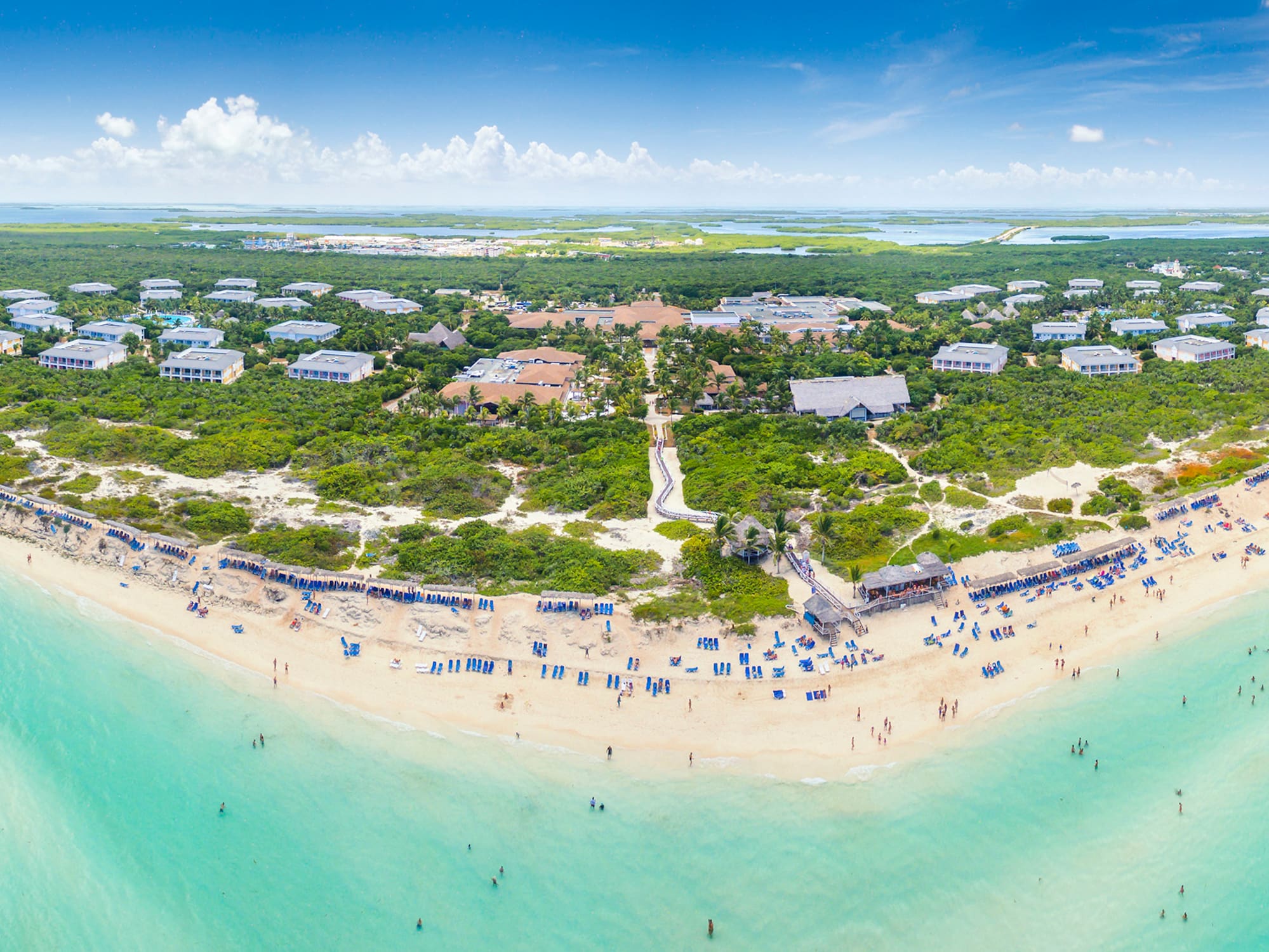 an aerial view of a beach with people and trees
