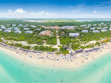 an aerial view of a beach with people and trees