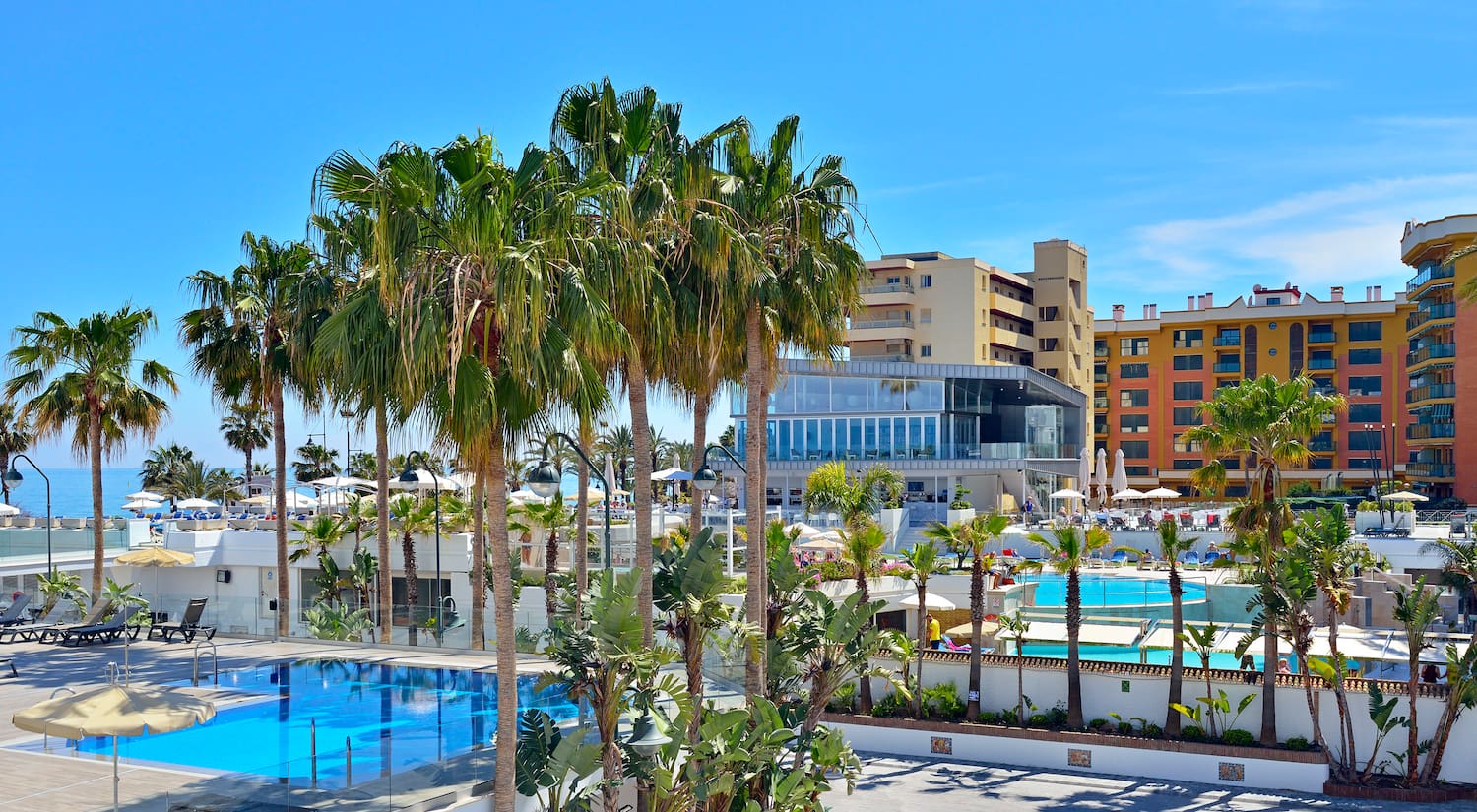 a pool with palm trees and buildings in the background