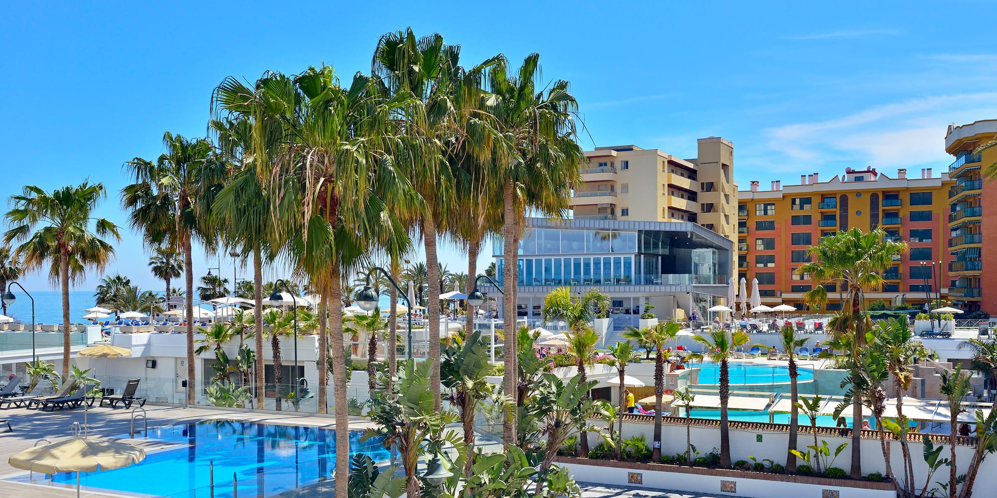 a pool with palm trees and buildings in the background