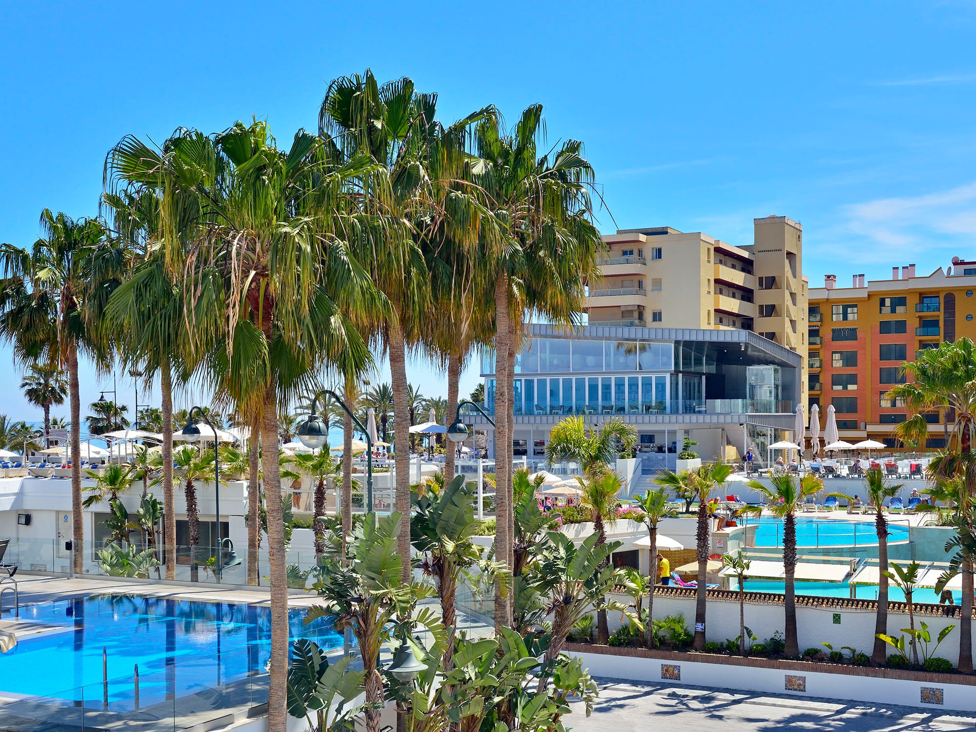a pool with palm trees and buildings in the background