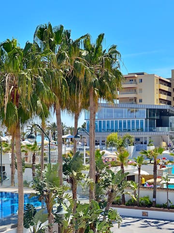 a pool with palm trees and buildings in the background