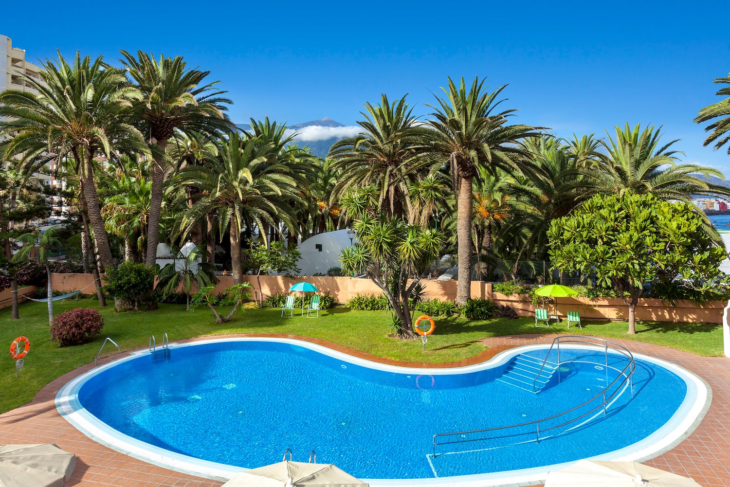 a pool surrounded by palm trees