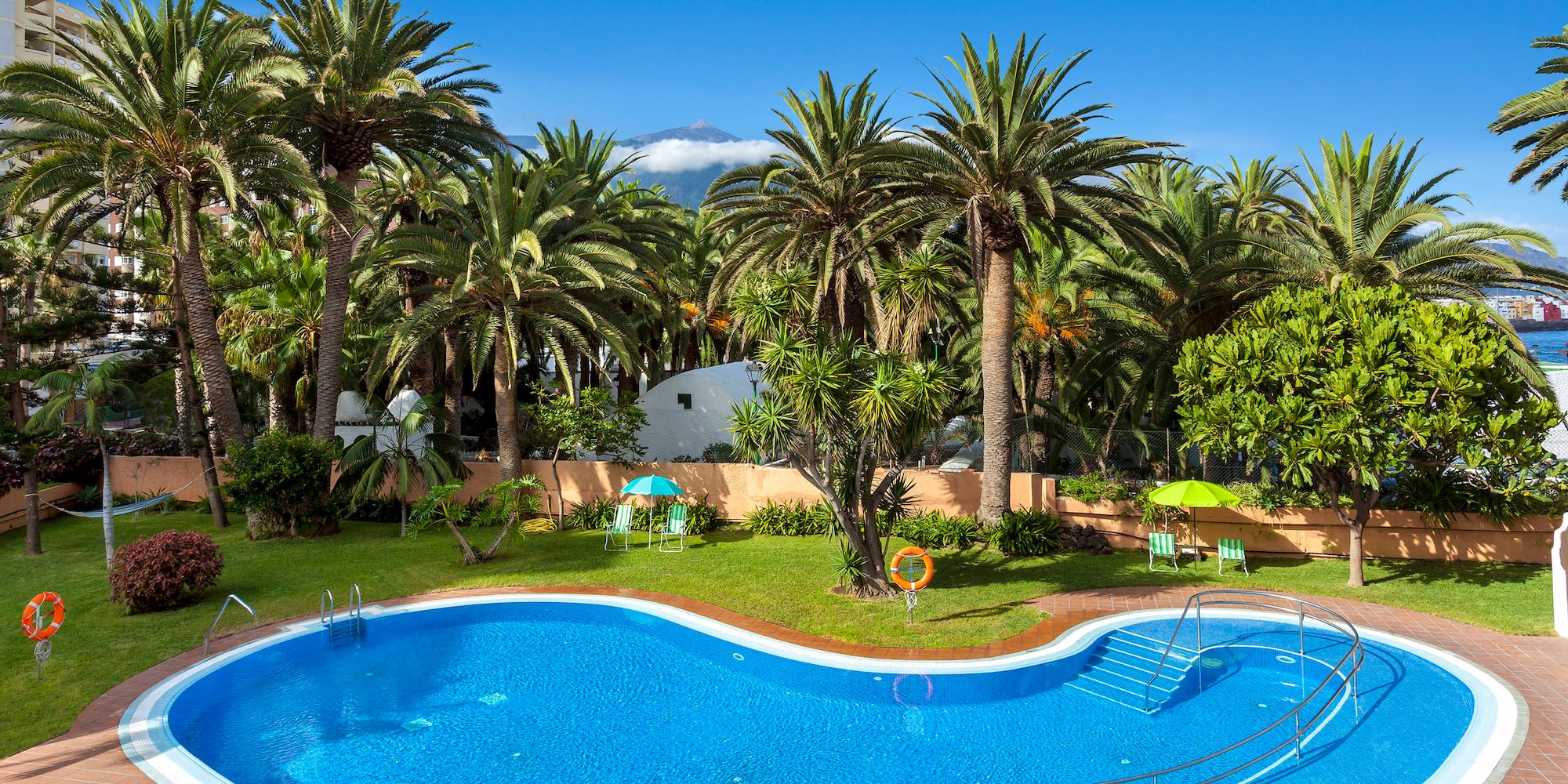 a pool surrounded by palm trees