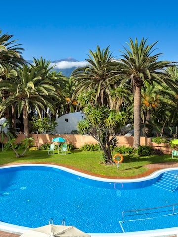 a pool surrounded by palm trees