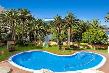 a pool surrounded by palm trees