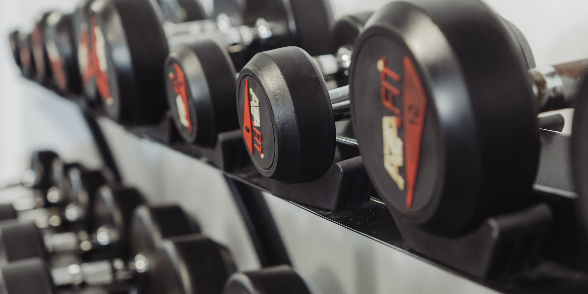 a row of dumbbells on a shelf