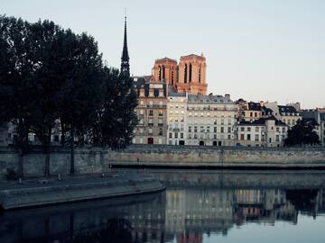 a body of water with buildings and trees