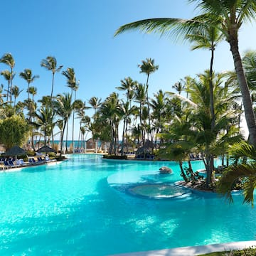 a pool with palm trees and a fountain