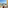 Luxury resort balcony view: tropical pool, ocean with cruise ship, palm trees.
